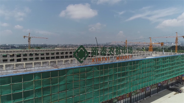 泰安新泰市加快推進青云智慧冷鏈物流園建設 樓宇智能化工程施工全面展開